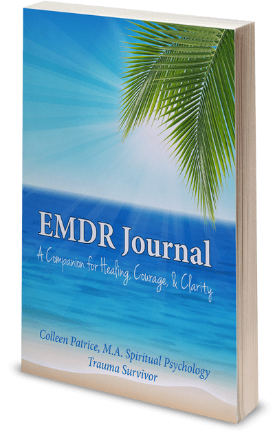 EMDRJOURNAL800
